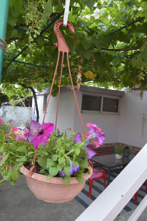Home, Agia Triada *